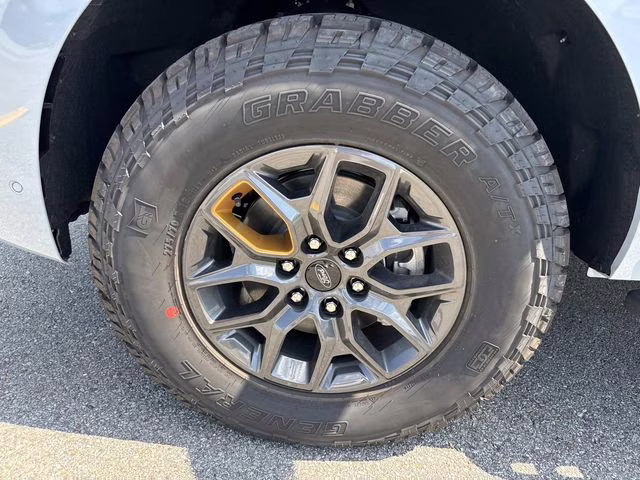 2025 Gray Metallic Ford Expedition Tremor 4X4 SUV