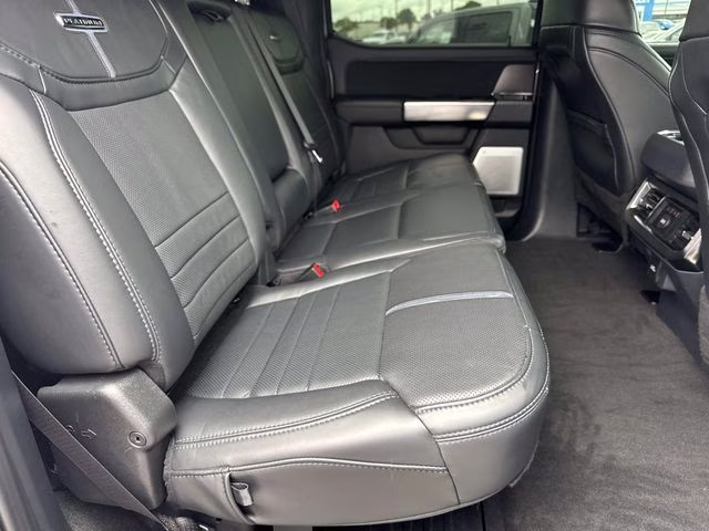 2026 Avalanche Ford Super Duty F-250 SRW Platinum 4X4 Truck