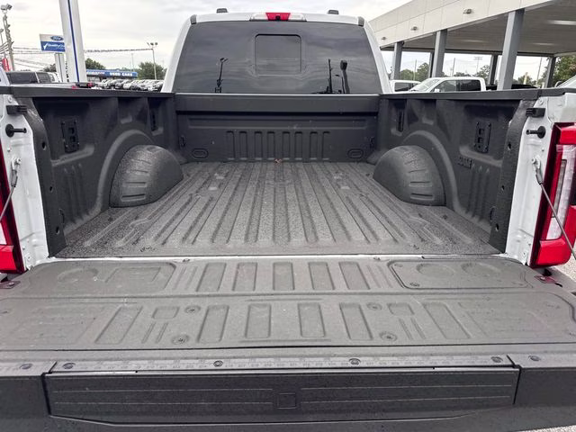 2026 Avalanche Ford Super Duty F-250 SRW Platinum 4X4 Truck
