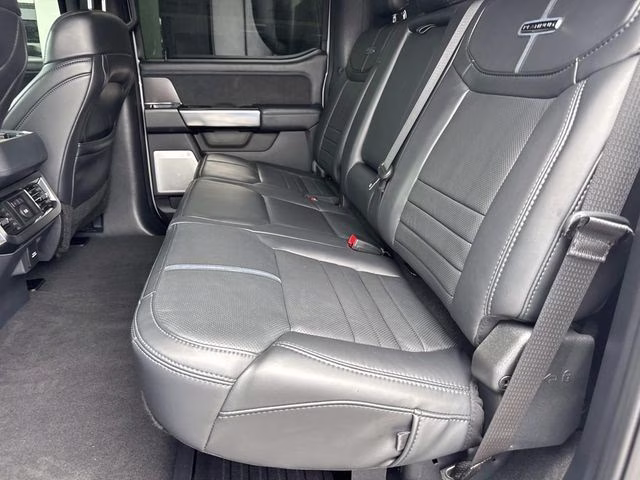 2026 Avalanche Ford Super Duty F-250 SRW Platinum 4X4 Truck