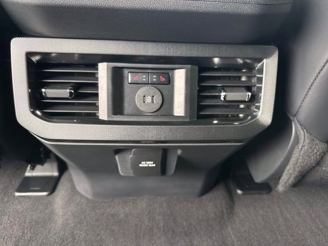 2026 Avalanche Ford Super Duty F-250 SRW Platinum 4X4 Truck