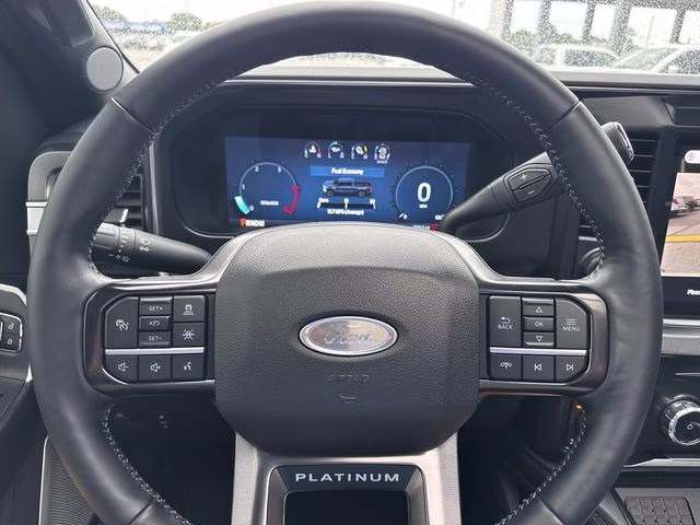 2026 Avalanche Ford Super Duty F-250 SRW Platinum 4X4 Truck