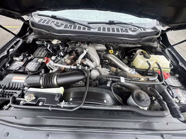 2024 Black Metallic Ford Super Duty F-250 SRW Platinum 4X4 Truck