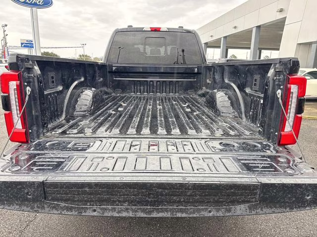 2024 Black Metallic Ford Super Duty F-250 SRW Platinum 4X4 Truck
