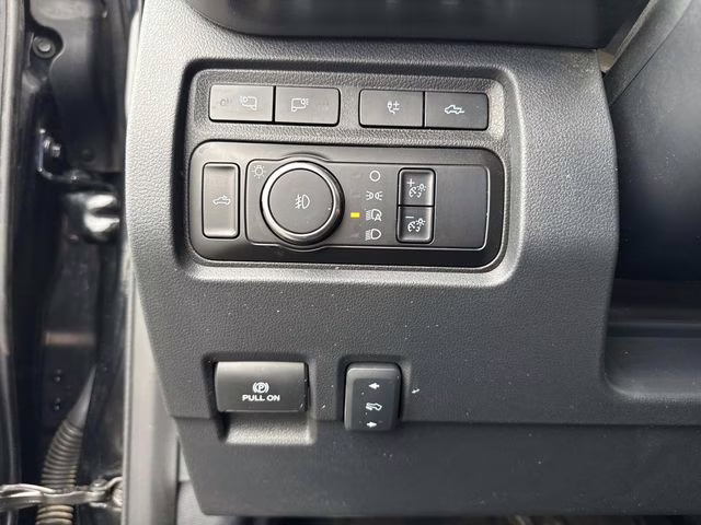 2024 Black Metallic Ford Super Duty F-250 SRW Platinum 4X4 Truck