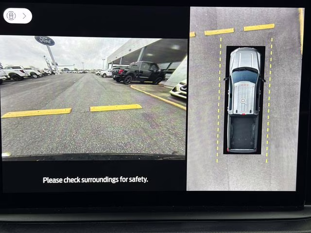 2024 Black Metallic Ford Super Duty F-250 SRW Platinum 4X4 Truck