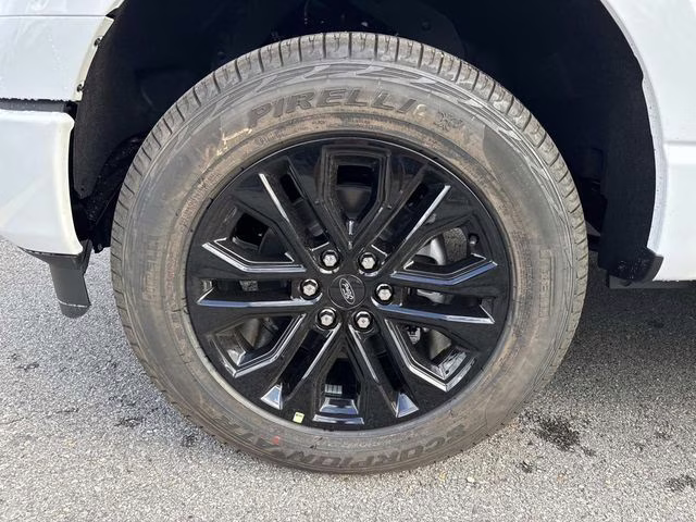 2025 Oxford White Ford F-150 XLT 4X4 Truck