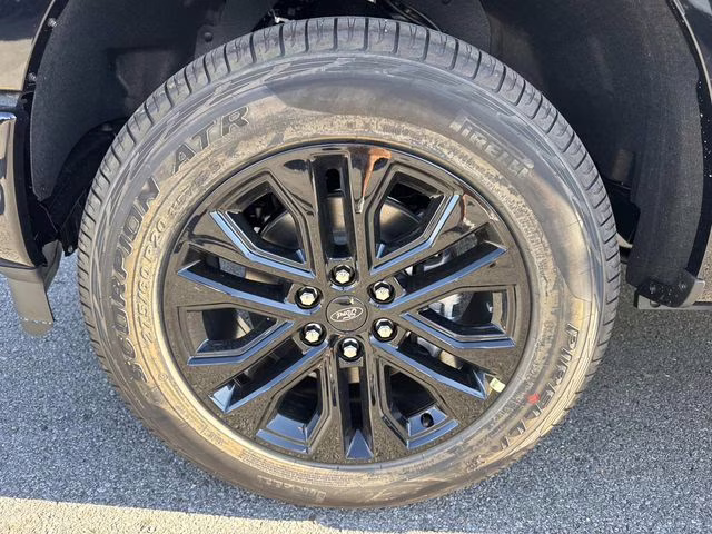 2025 Black Metallic Ford F-150 XLT 4X4 Truck