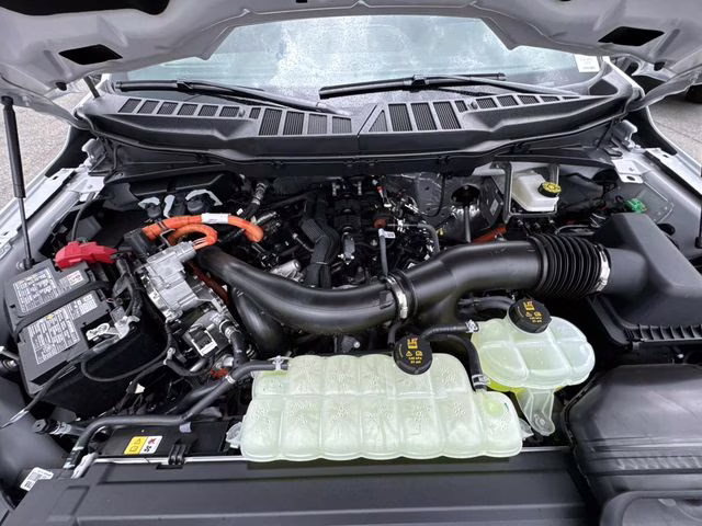 2025 Oxford White Ford F-150 XLT 4X4 Truck