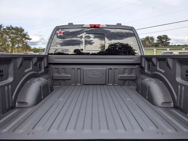 2025 Black Metallic Ford F-150 Platinum 4X4 Truck