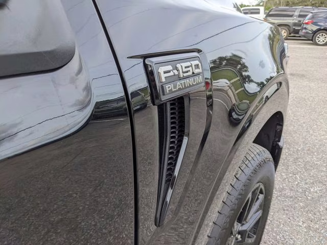 2025 Black Metallic Ford F-150 Platinum 4X4 Truck