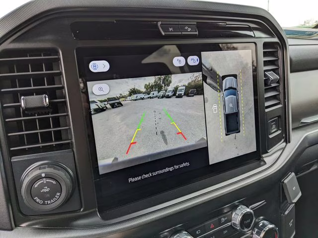 2025 Black Metallic Ford F-150 Platinum 4X4 Truck