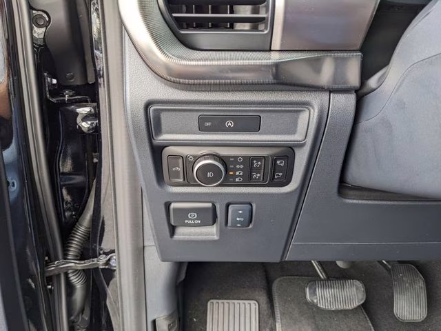 2025 Black Metallic Ford F-150 Platinum 4X4 Truck