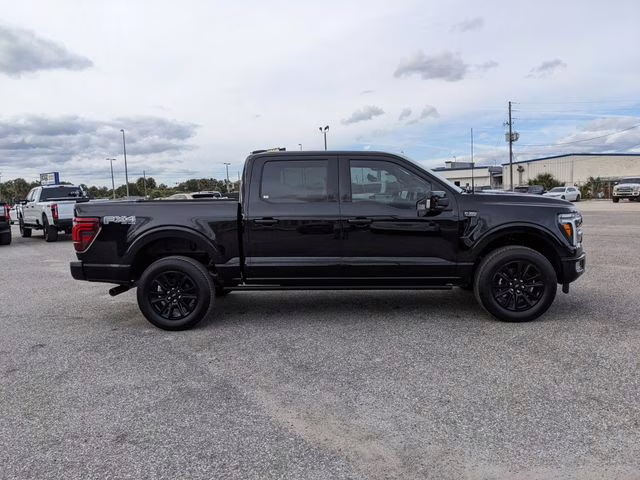 2025 Black Metallic Ford F-150 Platinum 4X4 Truck