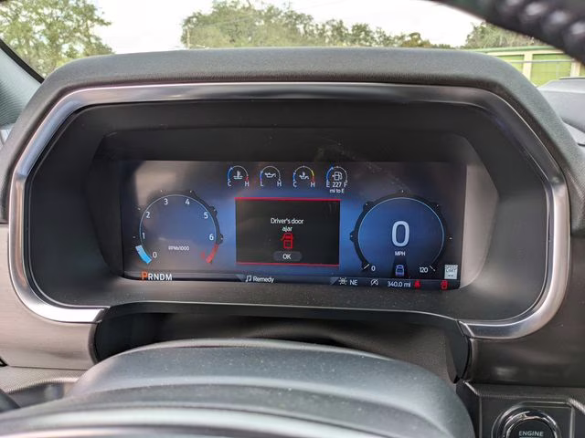 2025 Black Metallic Ford F-150 Platinum 4X4 Truck