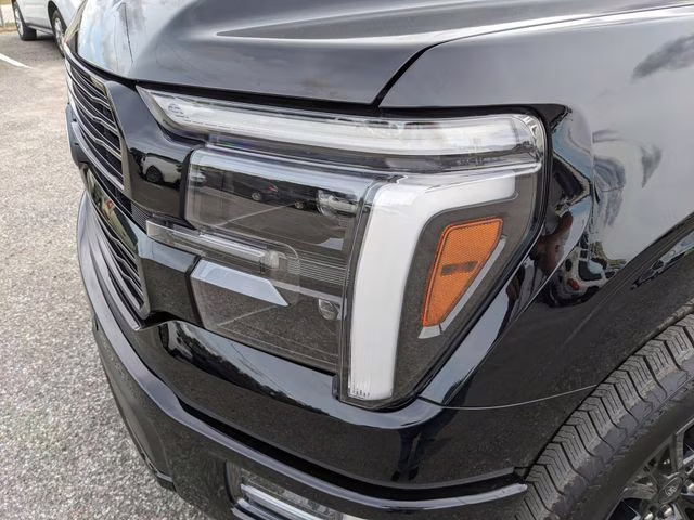 2025 Black Metallic Ford F-150 Platinum 4X4 Truck