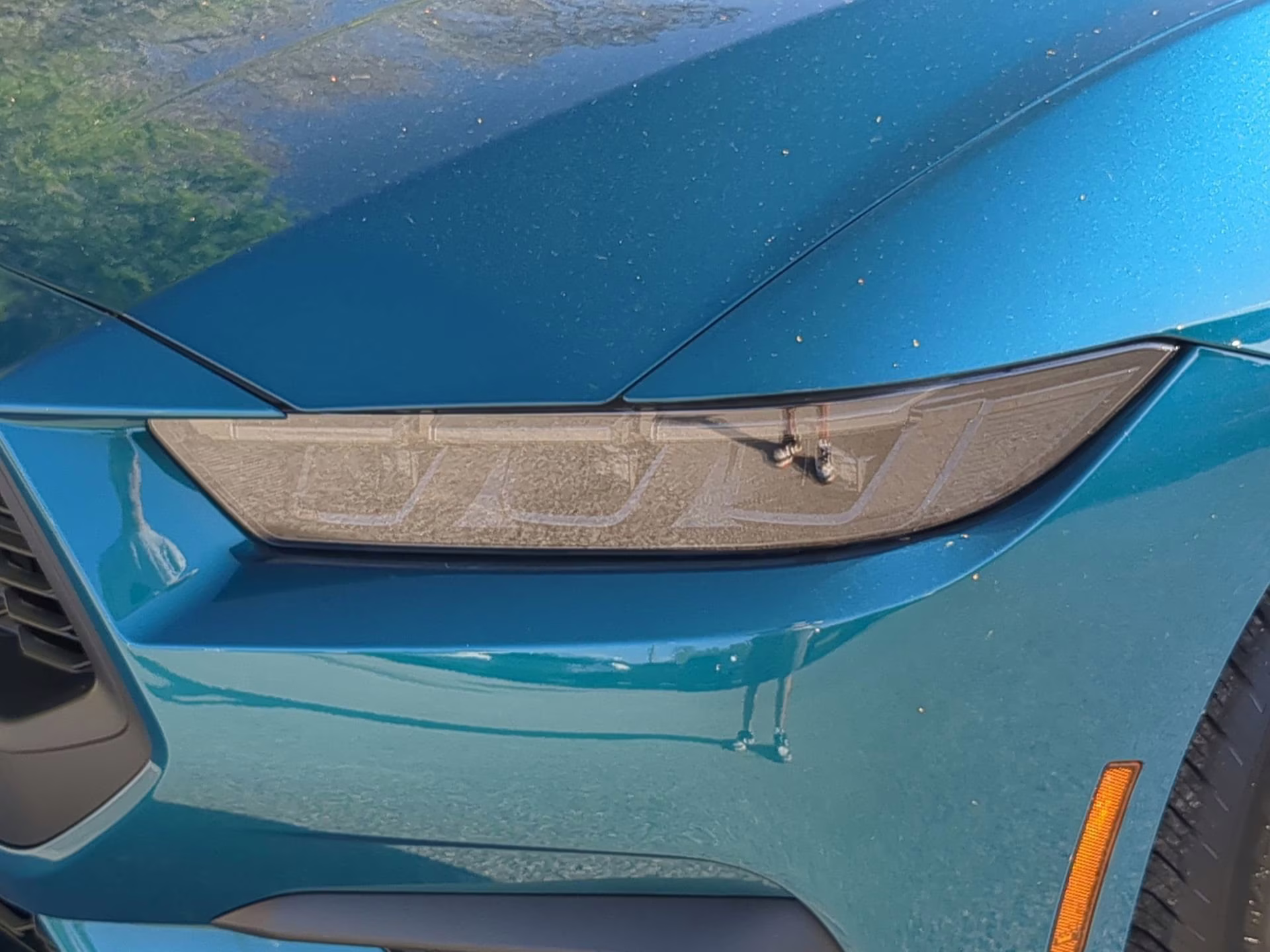 2026 Adriatic Blue Metallic Ford Mustang EcoBoost RWD Coupe