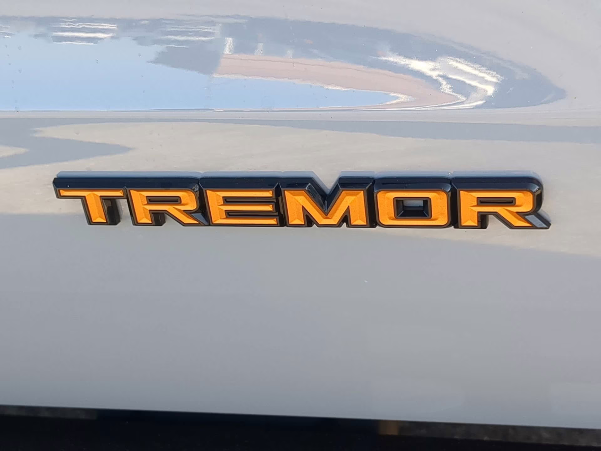 2026 Glacier Gray Metallic Tri-Coat Ford Expedition Tremor 4X4 SUV