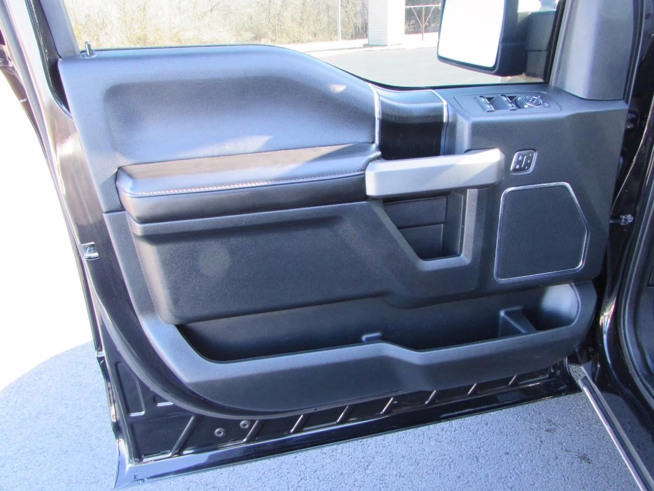 2019 Agate Black Metallic Ford F-150 Platinum 4X4 Truck