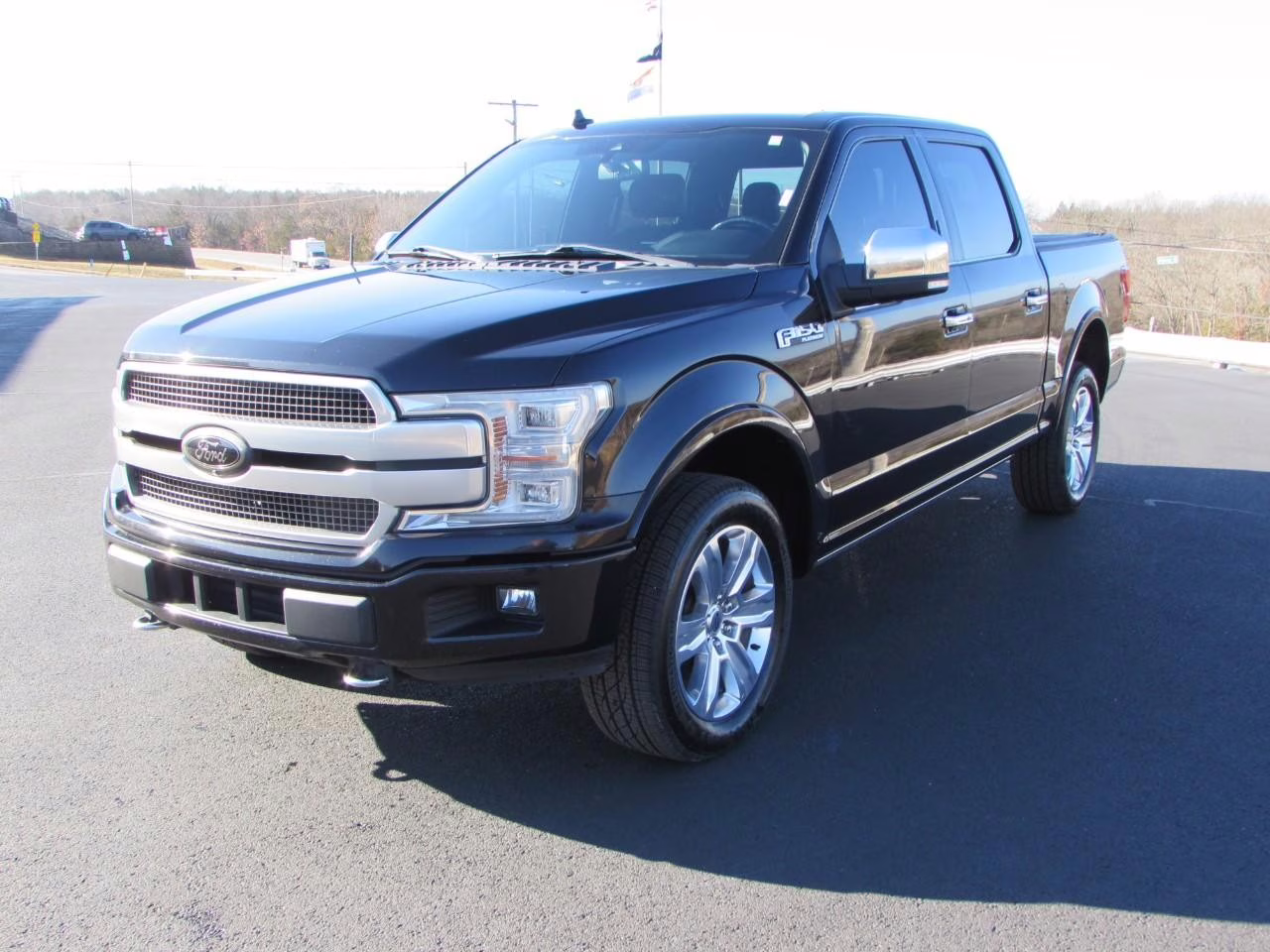 2019 Agate Black Metallic Ford F-150 Platinum 4X4 Truck