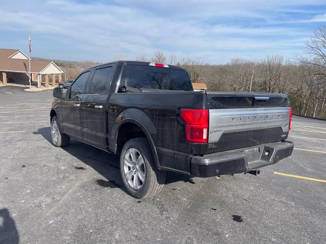 2019 Agate Black Metallic Ford F-150 Platinum 4X4 Truck