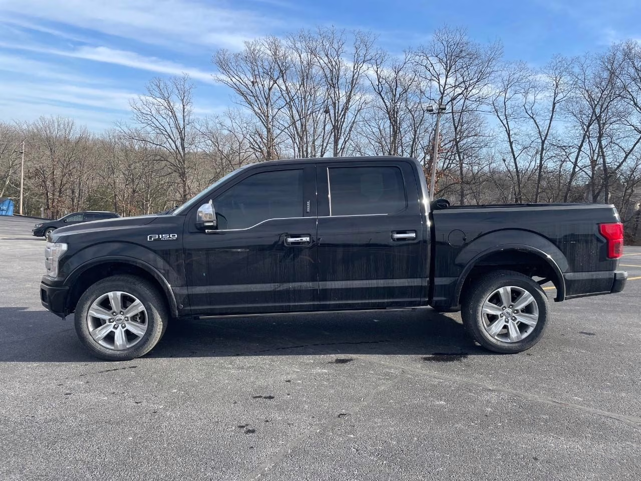 2019 Agate Black Metallic Ford F-150 Platinum 4X4 Truck