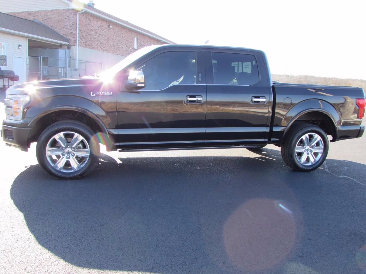 2019 Agate Black Metallic Ford F-150 Platinum 4X4 Truck