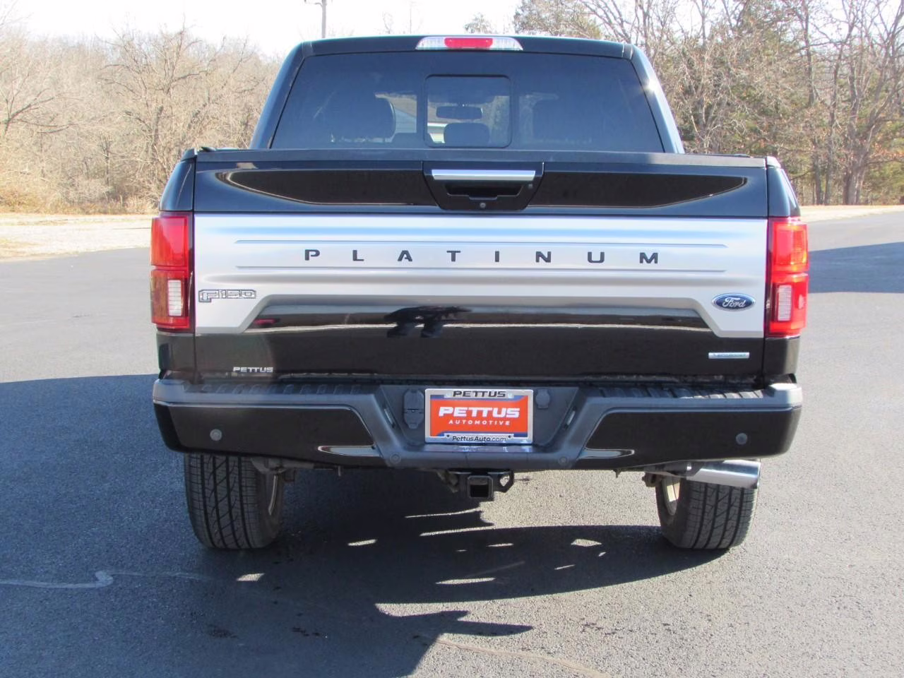 2019 Agate Black Metallic Ford F-150 Platinum 4X4 Truck