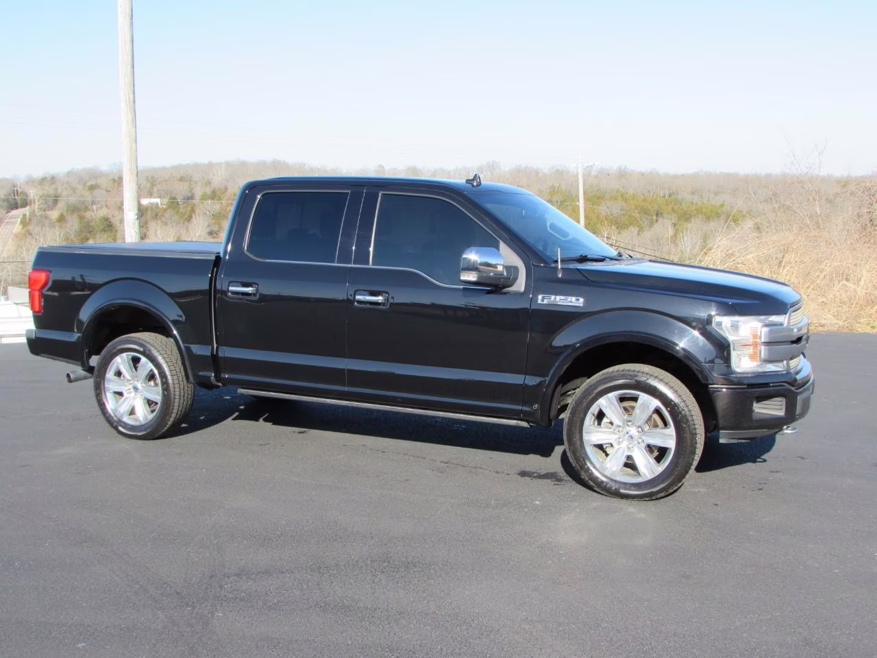 2019 Agate Black Metallic Ford F-150 Platinum 4X4 Truck