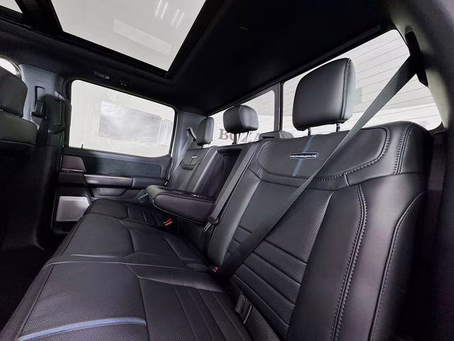 2026 Avalanche Ford Super Duty F-250 SRW Platinum 4X4 Truck