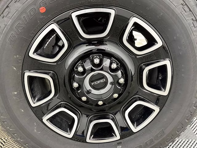 2026 Avalanche Ford Super Duty F-250 SRW Platinum 4X4 Truck