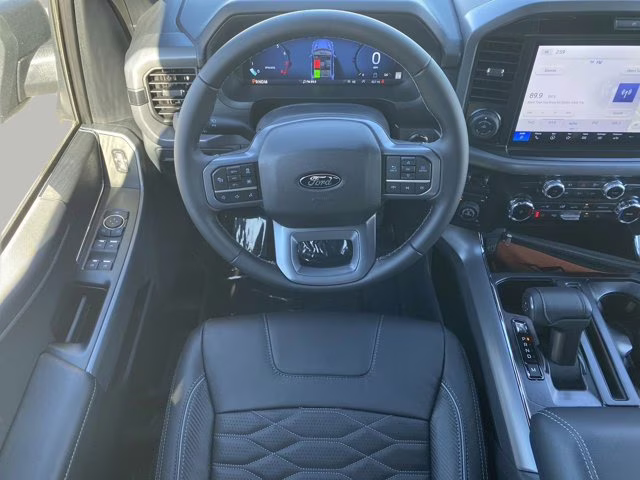 2025 Agate Black Metallic Ford F-150 XLT 4X4 Truck