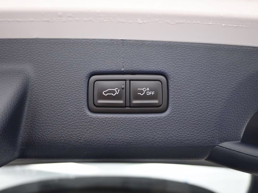 2025 Snow White Pearl Kia Carnival SX FWD Van