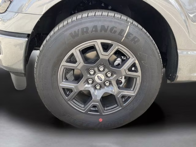 2026 Carbonized Gray Metallic Ford F-150 STX RWD Truck