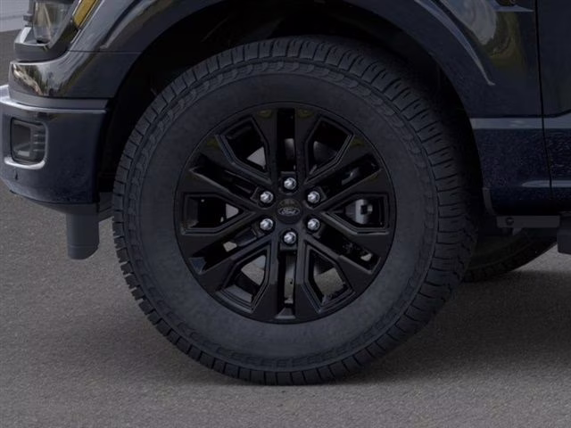2025 Black Metallic Ford F-150 Roush RT6 4X4 Truck