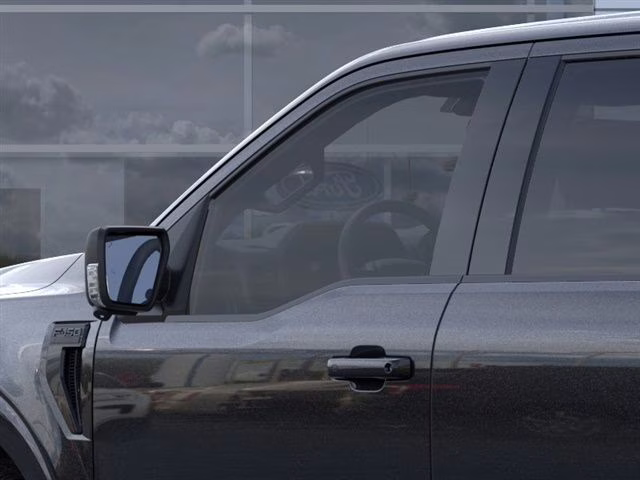 2025 Black Metallic Ford F-150 Roush RT6 4X4 Truck