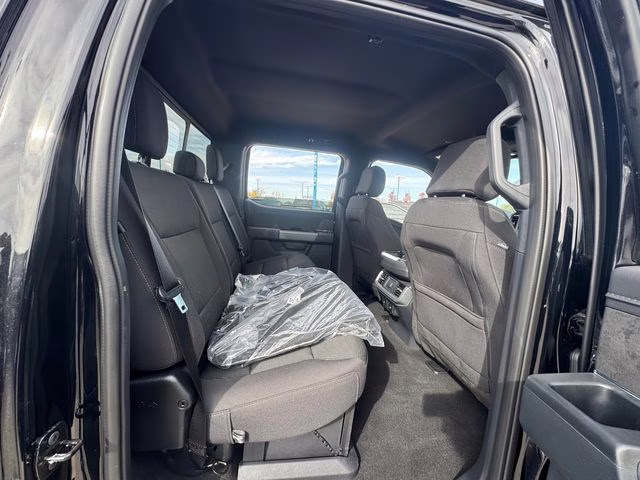 2025 Agate Black Metallic Ford F-150 XLT 4X4 Truck