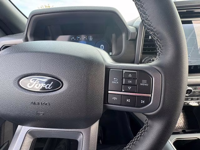 2025 Agate Black Metallic Ford F-150 XLT 4X4 Truck