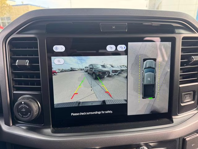 2025 Agate Black Metallic Ford F-150 XLT 4X4 Truck