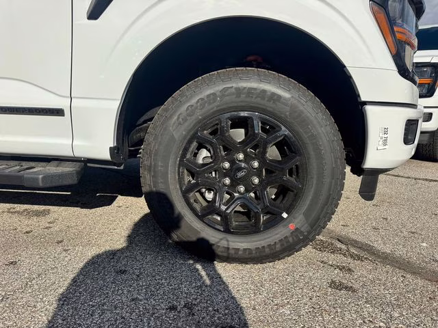 2025 Oxford White Ford F-150 XLT 4X4 Truck