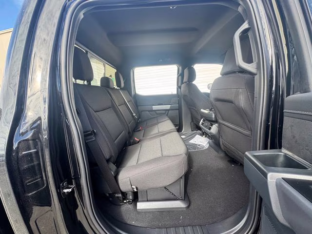 2025 Agate Black Metallic Ford F-150 XLT 4X4 Truck