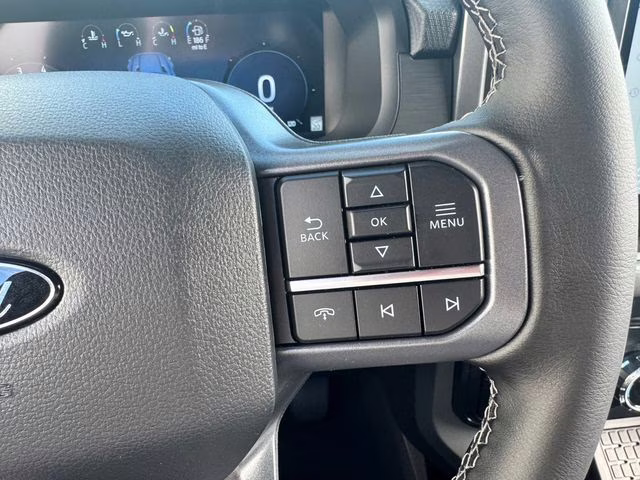 2025 Agate Black Metallic Ford F-150 XLT 4X4 Truck