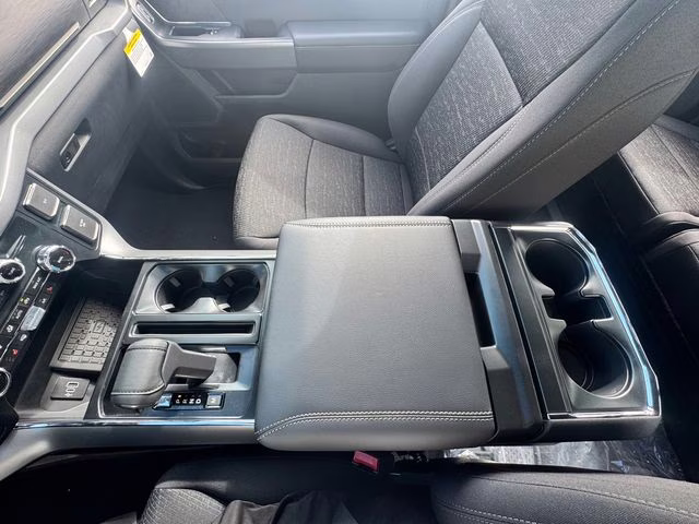 2025 Agate Black Metallic Ford F-150 XLT 4X4 Truck