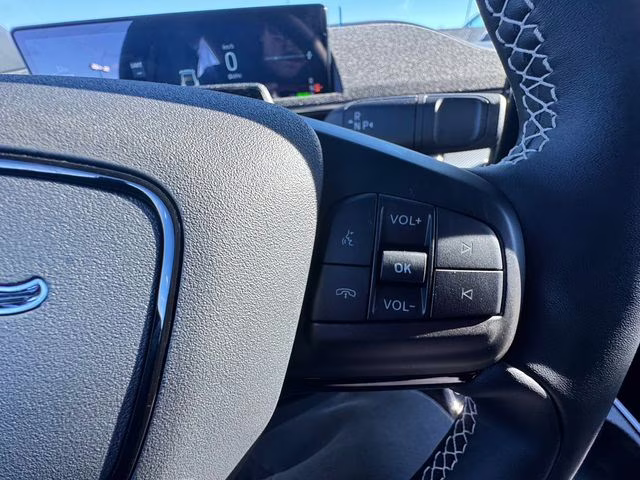 2025 Shadow Black Ford Mustang Mach-E GT AWD SUV