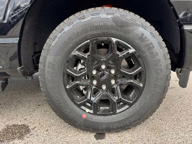 2025 Agate Black Metallic Ford F-150 XLT 4X4 Truck