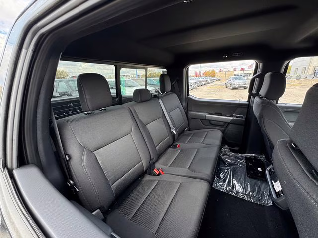 2025 Agate Black Metallic Ford F-150 XLT 4X4 Truck