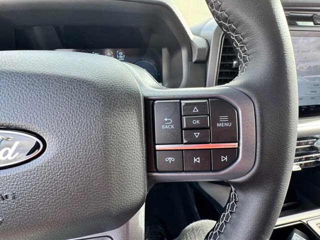 2025 Agate Black Metallic Ford F-150 XLT 4X4 Truck