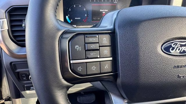 2025 Silver Metallic Ford F-150 Platinum 4X4 Truck