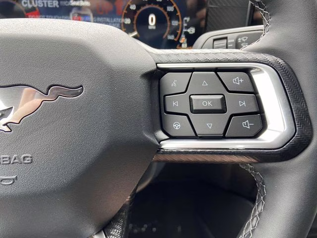 2025 Carbonized Gray Metallic Ford Mustang EcoBoost RWD Coupe