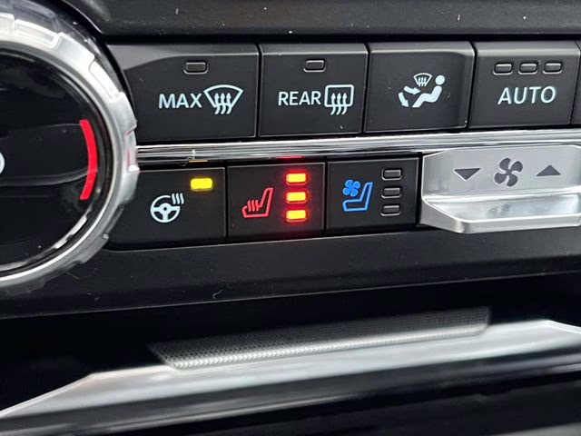 2026 Avalanche Ford Super Duty F-250 SRW Platinum 4X4 Truck